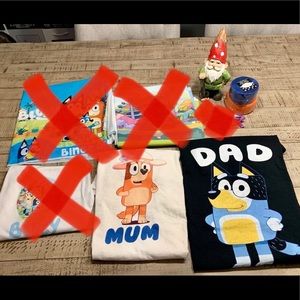 Disney Bluey Birthday Decor/Shirts